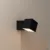 Carbon